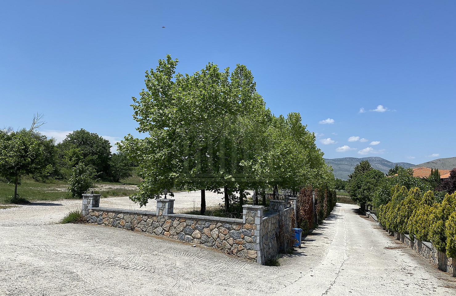 Plot in Amyntaio, Florina