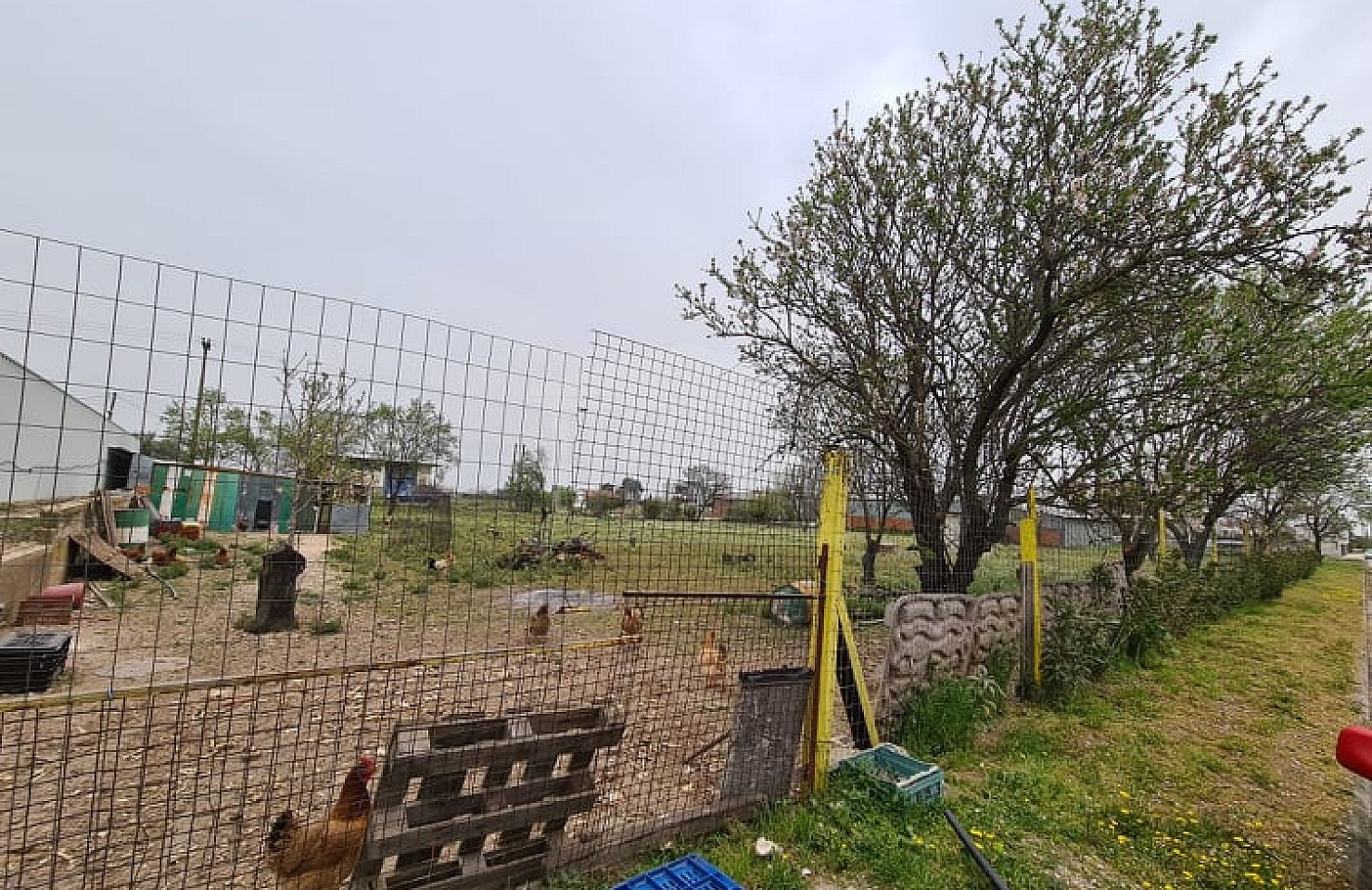 Land plot in Larissa