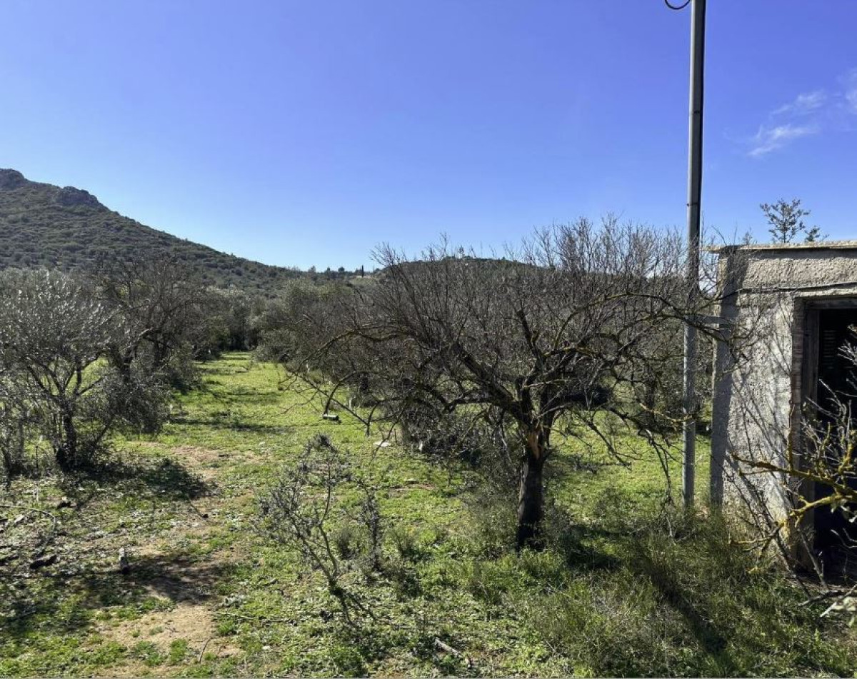 Land Plot in Nafplio