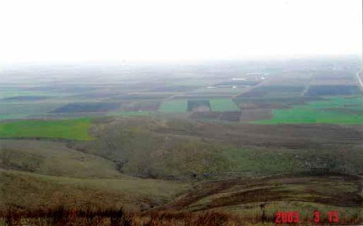 Agricultural Land in Larissa - Investment Opportunity