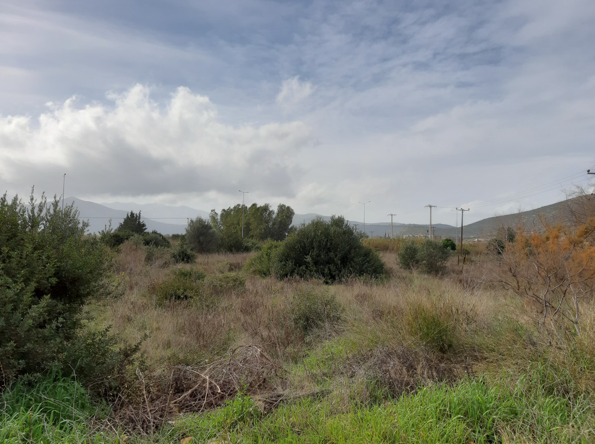 752.5 sq.m. Land Plot in Schinias
