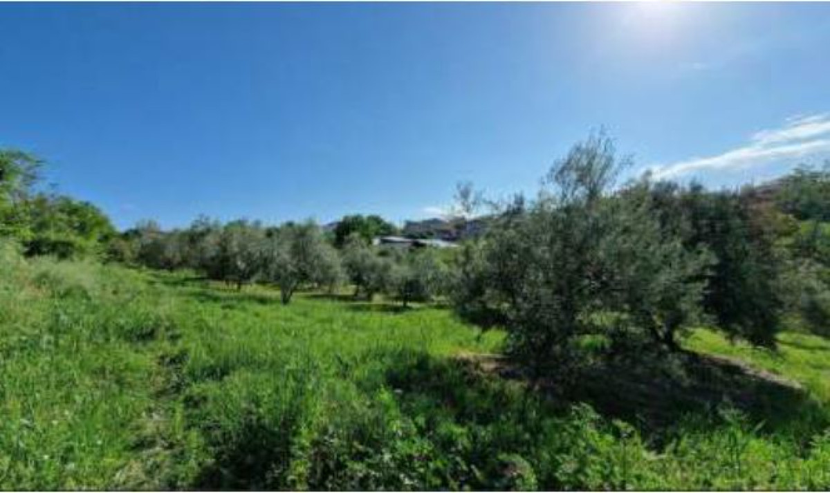 Agricultural Land in Alonia, Pieria