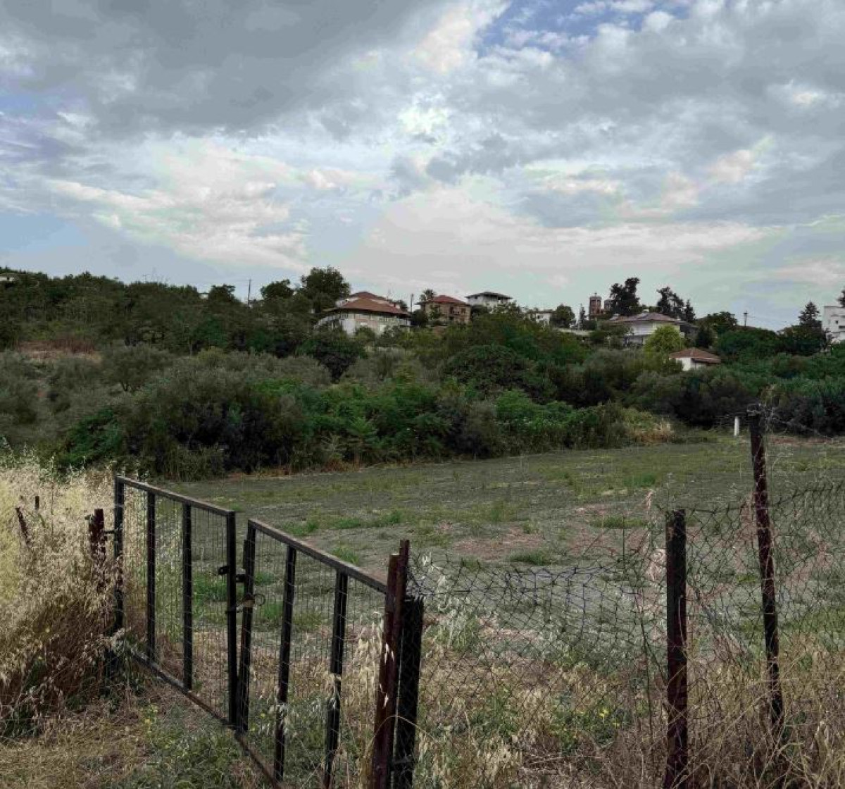 Agricultural Land in Pydna, Pieria