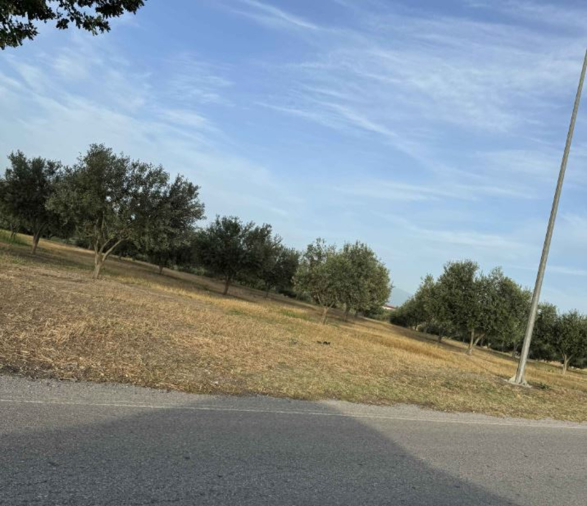 Agricultural Land in Pydna, Pieria