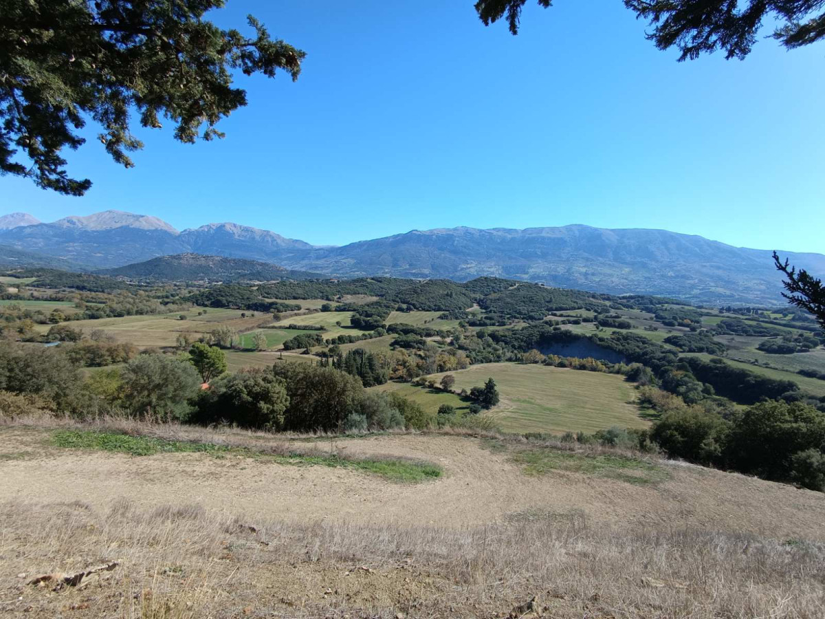 Agricultural Land in Kardasi, Achaia