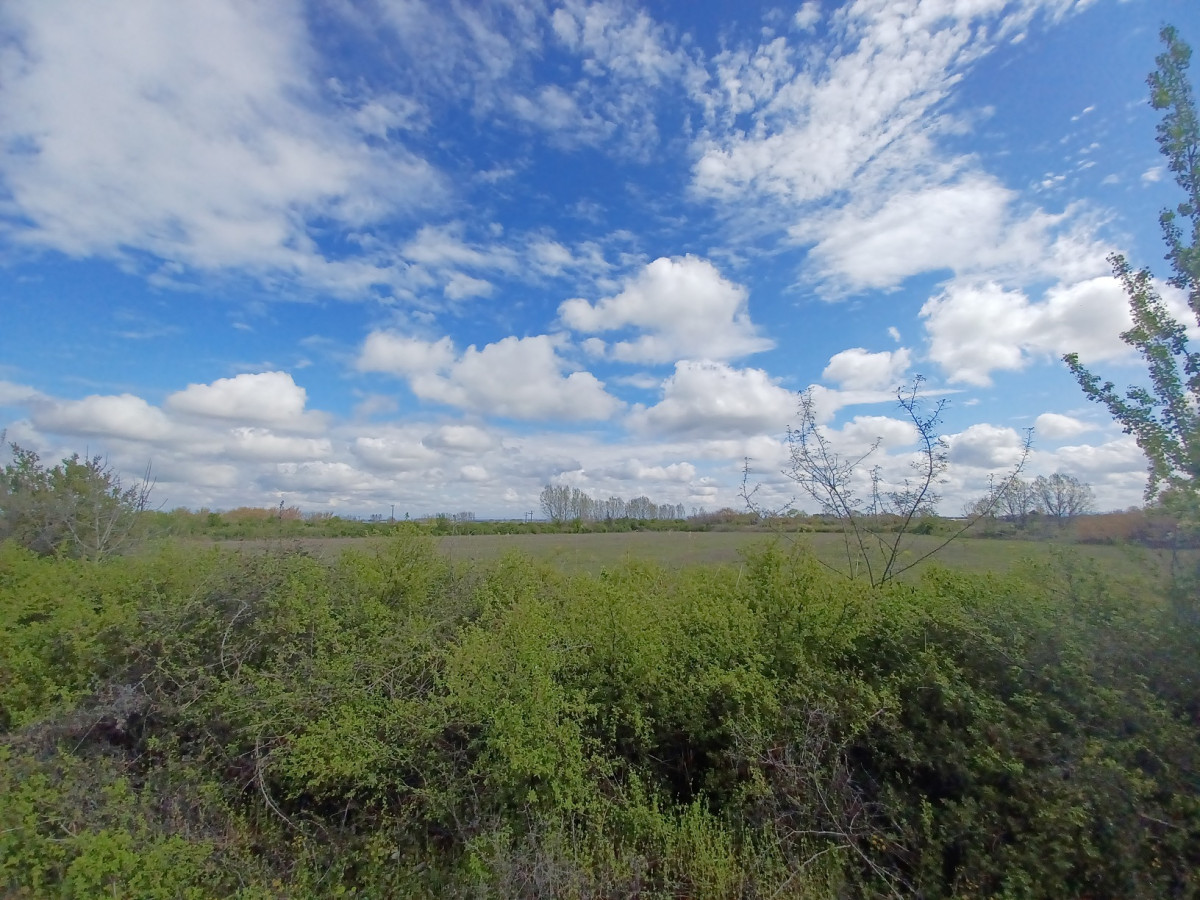 Land plot in Patrida Dovra, Veroia
