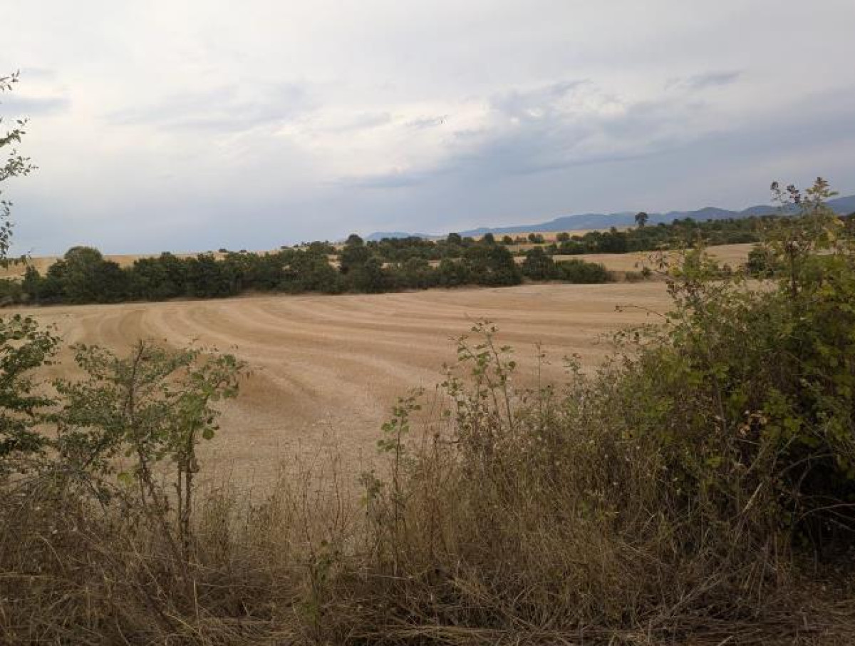 Agricultural Land in Sparto, Kozani
