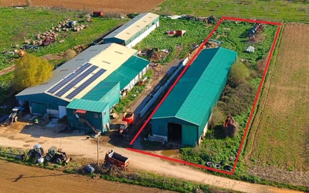 Agricultural plot with stable in Amyntaio