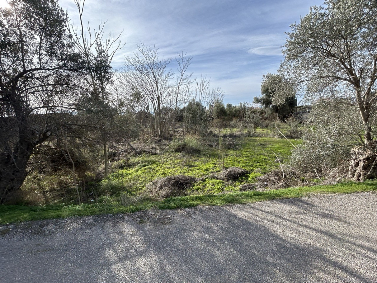 Plot in Lilantia