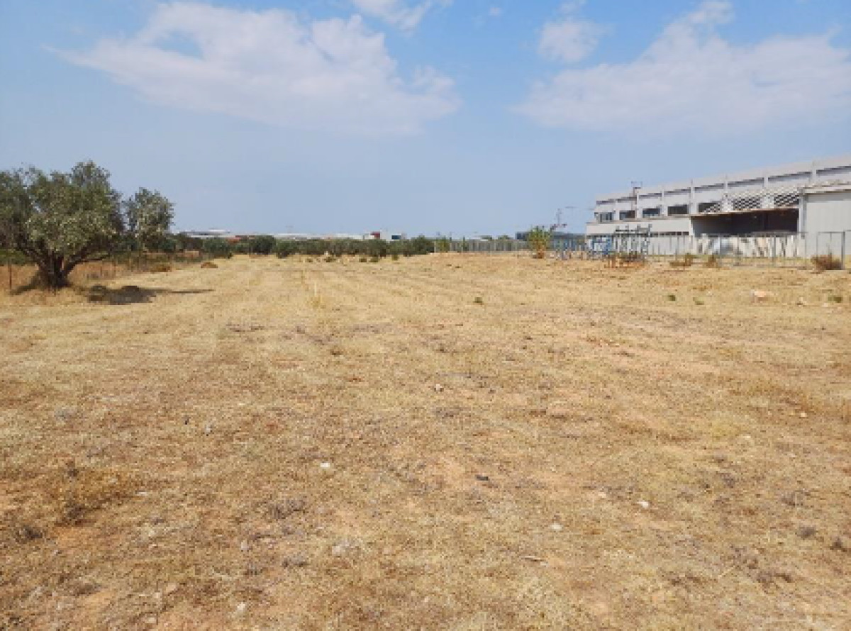 Land for development in Markopoulo Mesogaias