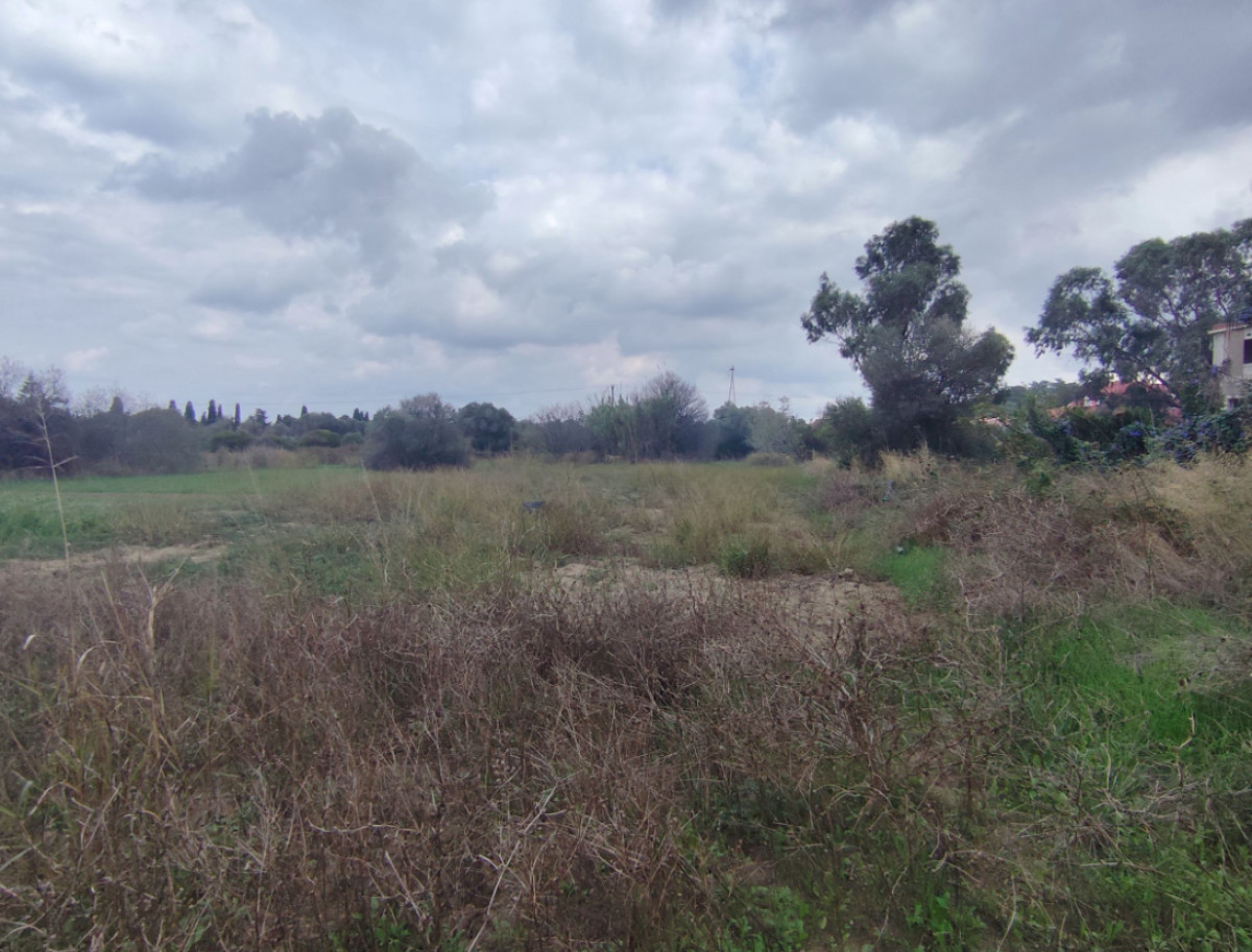 Agricultural Plot in Rhodes