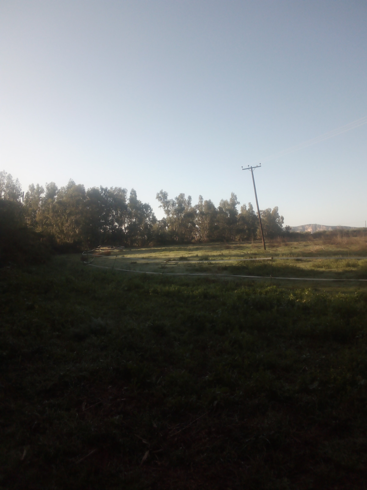 Large Land Area in Gialova