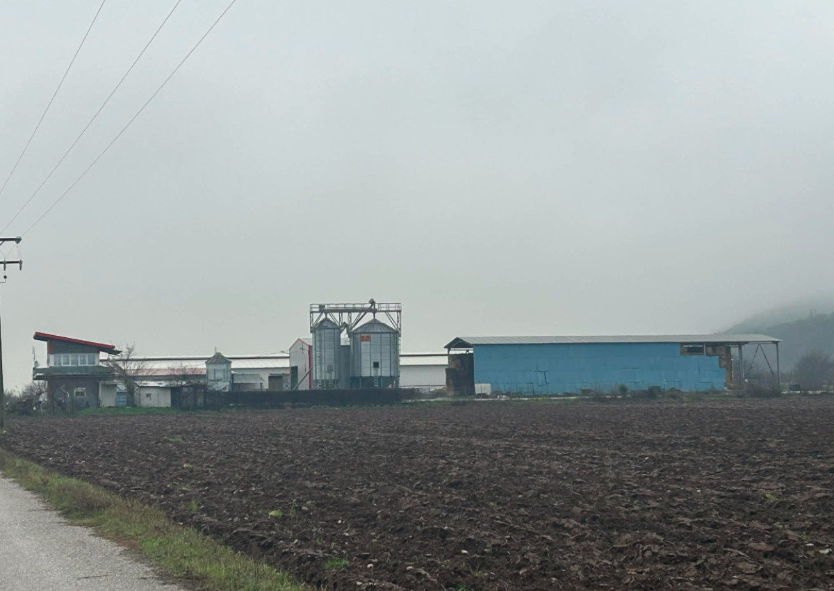 Land Plots with livestock farming, in Thessalia