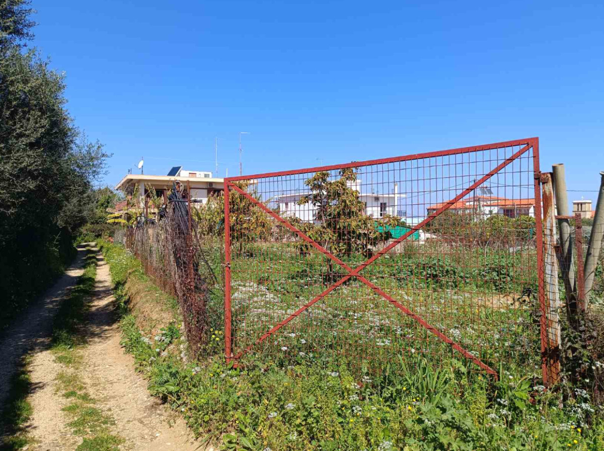 Agricultural Land in Kyllini